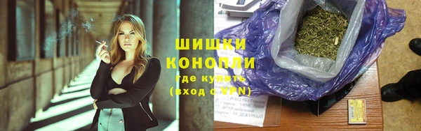 гашик Семилуки