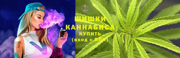 стафф Богородицк