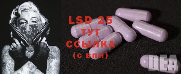 гашик Семилуки