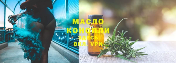 индика Семикаракорск