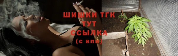 бутират Белокуриха