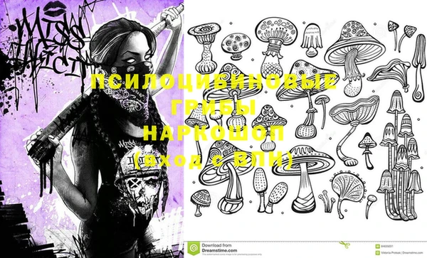 гашик Белоозёрский