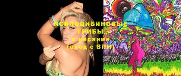 индика Семикаракорск
