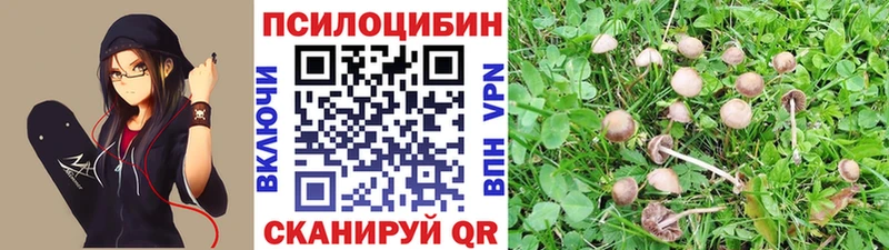 darknet как зайти  Коркино  Галлюциногенные грибы Magic Shrooms  сколько стоит 